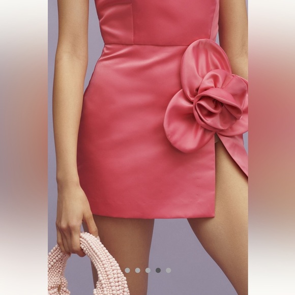 Anthropologie NWT Delfi Collective Sleeveless 3D Floral Mini Dress size L. - Picture 5 of 16